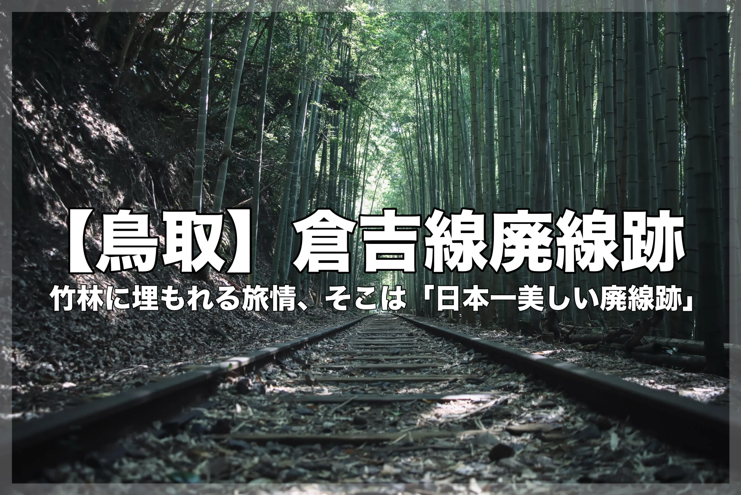 鬱蒼とした竹林に囲まれた古い倉吉線廃線跡の線路がまっすぐに伸び、その上に「【鳥取】倉吉線廃線跡。竹林に埋もれる旅情、そこは『日本一美しい廃線跡』」というテキストが入った画像。