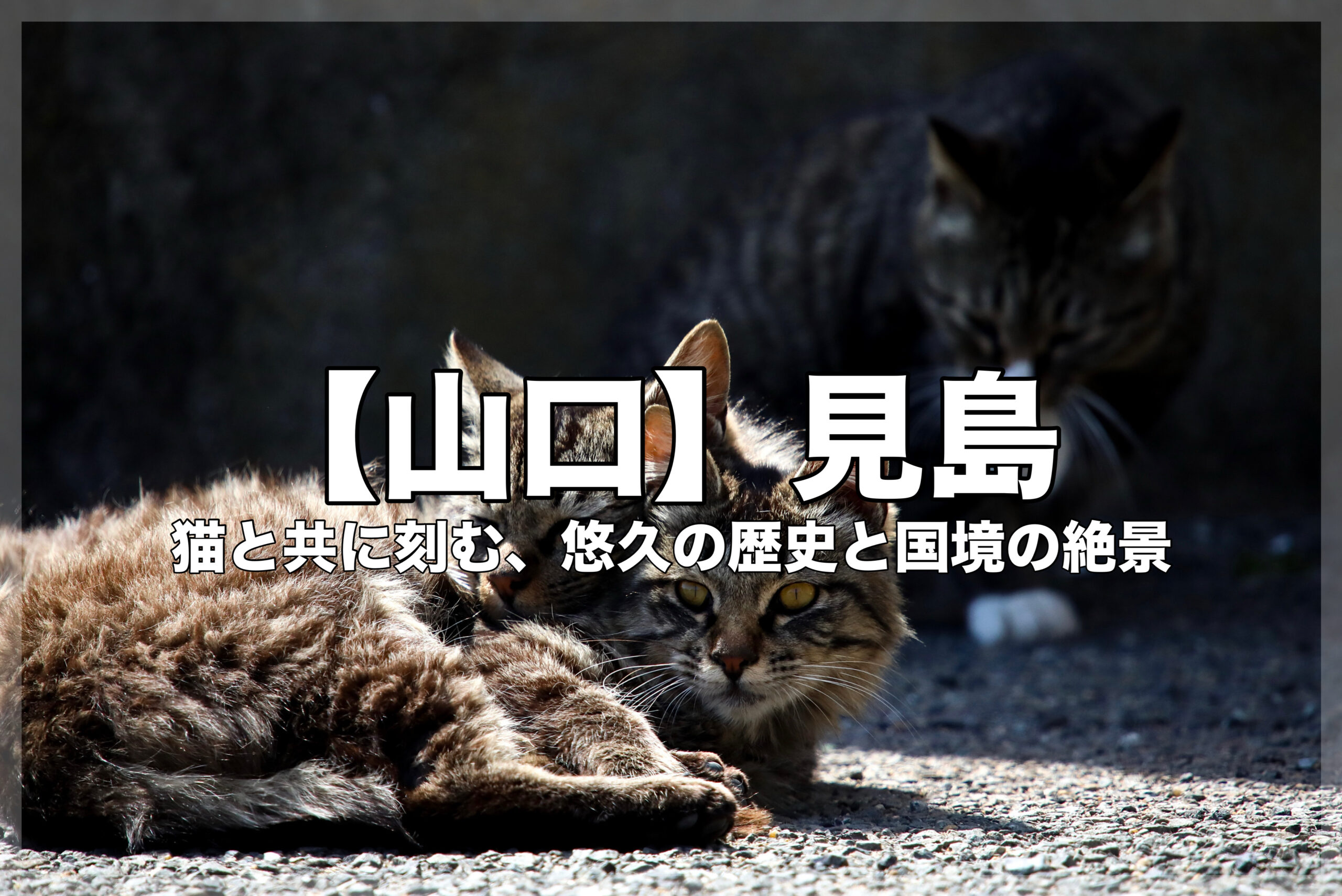 古びた漁港の作業小屋の縁側で、鮮やかな青い漁網や漁具に囲まれて日向ぼっこをする3匹の見島の猫たち。ノスタルジックで穏やかな日常の風景。
