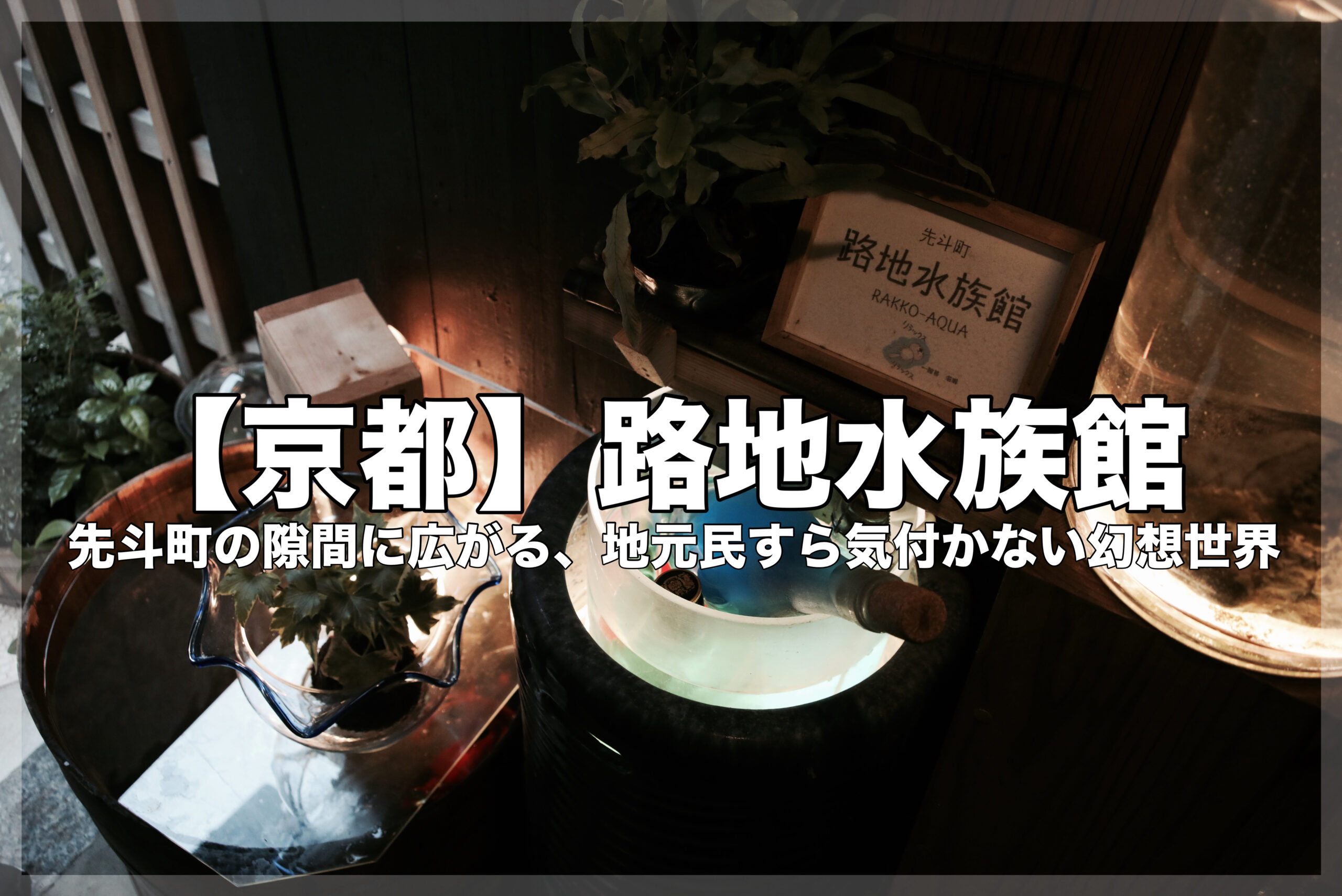 幻想的にライトアップされた小さな水槽群を背景に、中央に大きな白い文字で『【京都】路地水族館』、その下に小さな白い文字で『先斗町の隙間に広がる、地元民すら気付かない幻想世界』と大きく書かれたブログアイキャッチ画像。