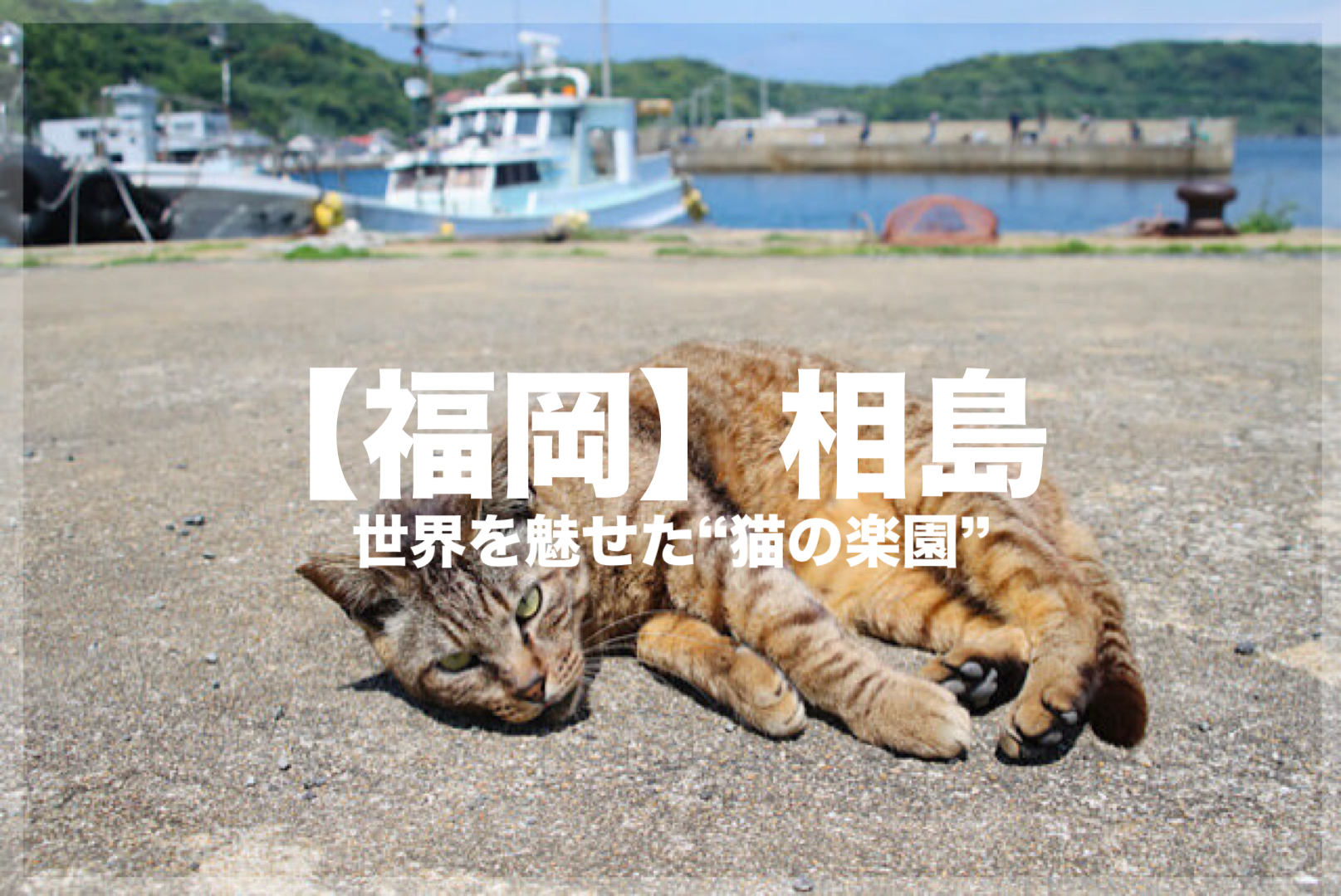 福岡県・相島の漁港を背景に、地面でリラックスして横たわるキジトラ猫。画像中央には「【福岡】相島 世界を魅了した“猫の楽園”」というタイトル文字が入ったブログ用アイキャッチ画像。