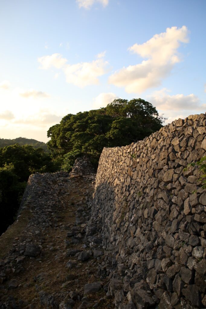 今帰仁城跡の石垣を、地面に近い低い位置から見上げた構図。右側には高く積み上げられた重厚な石垣の壁が画面上部まで続き、左側には緑の木々が広がっている。冬の夕日に照らされ、石の一つ一つの質感がくっきりと浮かび上がっている様子。