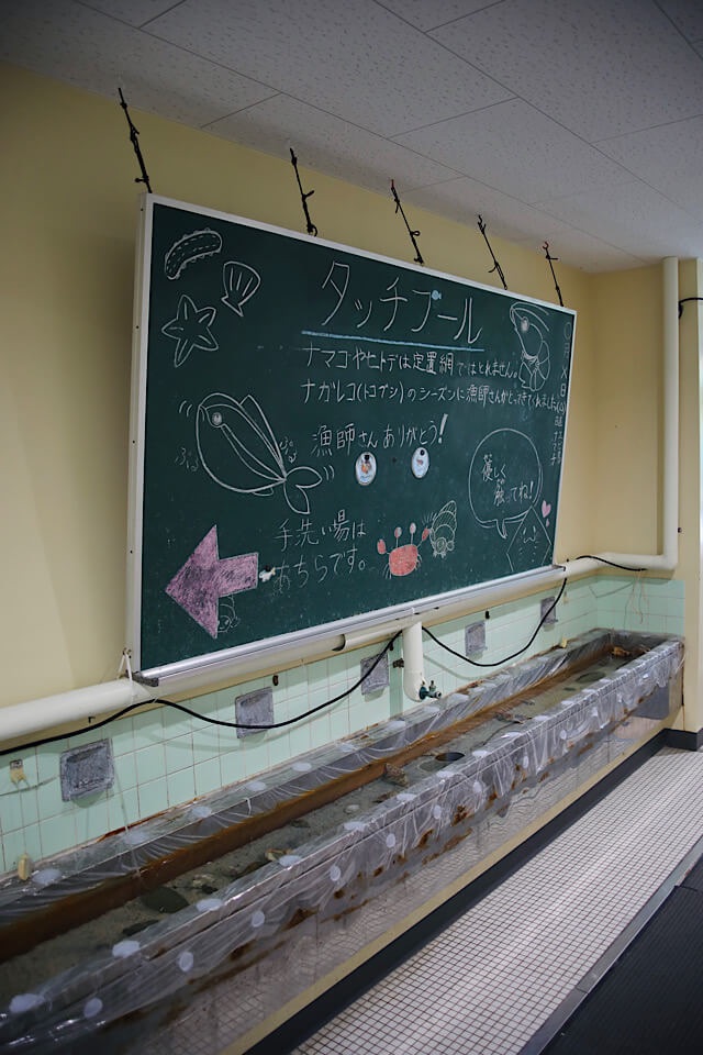 むろと廃校水族館内のタッチプール。元小学校のタイル張りの長い手洗い場を活用しており、上の大きな黒板には「タッチプール」という文字と可愛らしい魚のチョーク画、漁師さんへの感謝の言葉が書かれている写真。