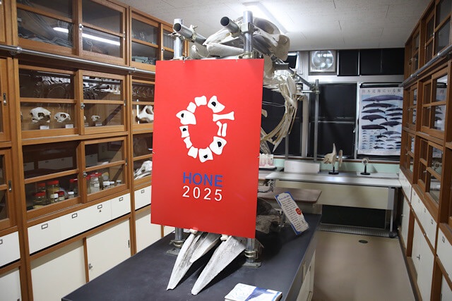 むろと廃校水族館の理科準備室内で開催されている「骨博(HONE 2025)」の展示風景。中央には「HONE 2025」と書かれた赤い看板があり、その後ろには大型生物の骨格標本がそびえ立っている。部屋の両脇には木製の標本棚が並び、昔懐かしい理科室の雰囲気が漂っている。