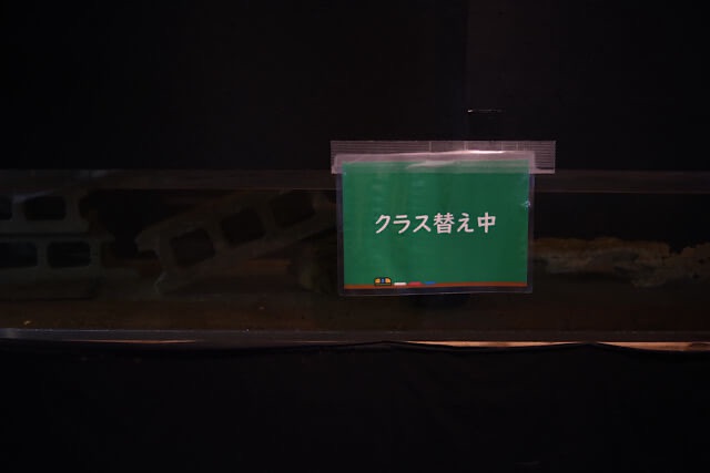 暗い水槽のガラス面に、緑色の下地に白抜き文字で「クラス替え中」と書かれた案内プレートが貼られている様子。水槽の中にはコンクリートブロックなどのレイアウト素材が見える。