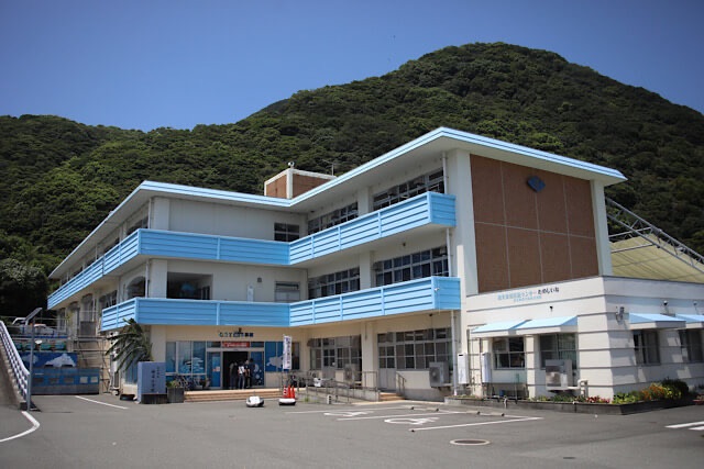 青空の下に建つ、青い手すりが特徴的な3階建ての旧椎名小学校校舎(むろと廃校水族館)。背後には緑豊かな山がそびえ、手前には駐車場がある外観写真。