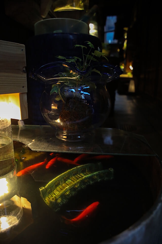 暗闇の中で光り輝く水槽。中には赤い金魚とガラスの橋があり、水槽の上には涼しげな観葉植物が飾られている。