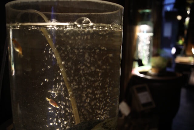 円柱状のガラス水槽の中で、細かな気泡と共に泳ぐ小さな金魚。背景の暗闇に対して、光を反射する気泡が幻想的な雰囲気を醸し出している。