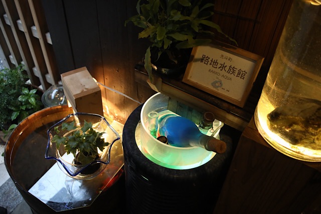 「先斗町 路地水族館」の木製看板と、青くライトアップされたボトルや植物、水槽が並ぶ手作りの展示スペース。