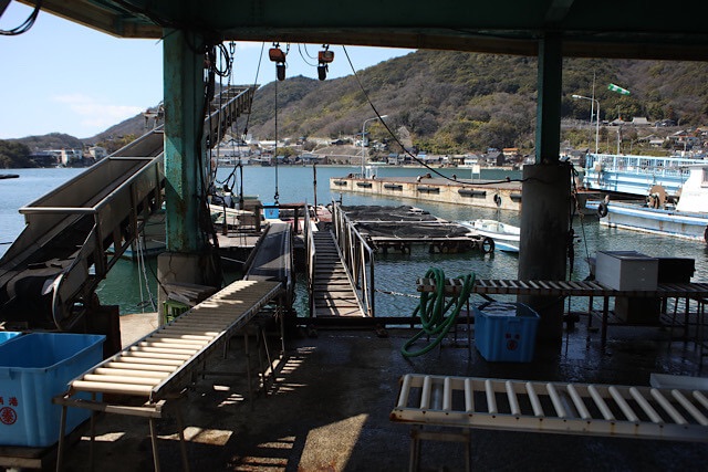 鞆の浦の漁港にある屋根付きの作業場から見た景色。手前にはローラーコンベアや青いプラスチックコンテナ、ホースが置かれ、奥には穏やかな海と浮き桟橋、山、対岸の町並みが見える、実用的な漁業の現場。
