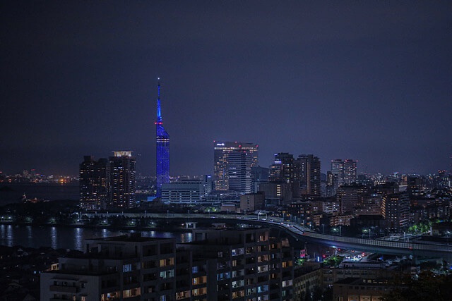鷲尾愛宕神社の境内メイン展望台から望む、青いイルミネーションが美しい福岡タワーとシーサイドももち地区のビル群の夜景。手前には街の灯りと都市高速が広がる、福岡を代表する絶景スポット。