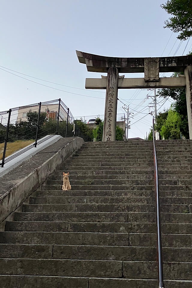 鷲尾愛宕神社の鳥居へと続く急な石段の風景。石造りの長い階段の途中に、一匹の茶トラ猫が座ってこちらを見つめている。手前には階段を登るための手すりがあり、傾斜の厳しさが伝わる写真。