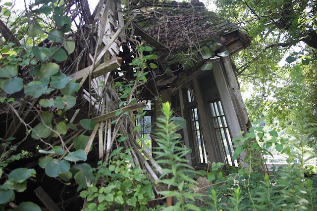 完全に崩壊した旧仁堀郵便局の木造建物の廃墟。苔が生えた屋根が傾き、崩れた木材や壁の破片が積み重なり、周囲を野生の草木が覆っている。歪んだ窓がわずかに見える。