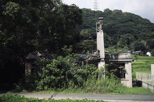 完全に崩壊した旧仁堀郵便局の外観。2階部分は消失し、残った煙突状の構造物が深い夏の草木に埋もれている。奥には山と農村の風景。