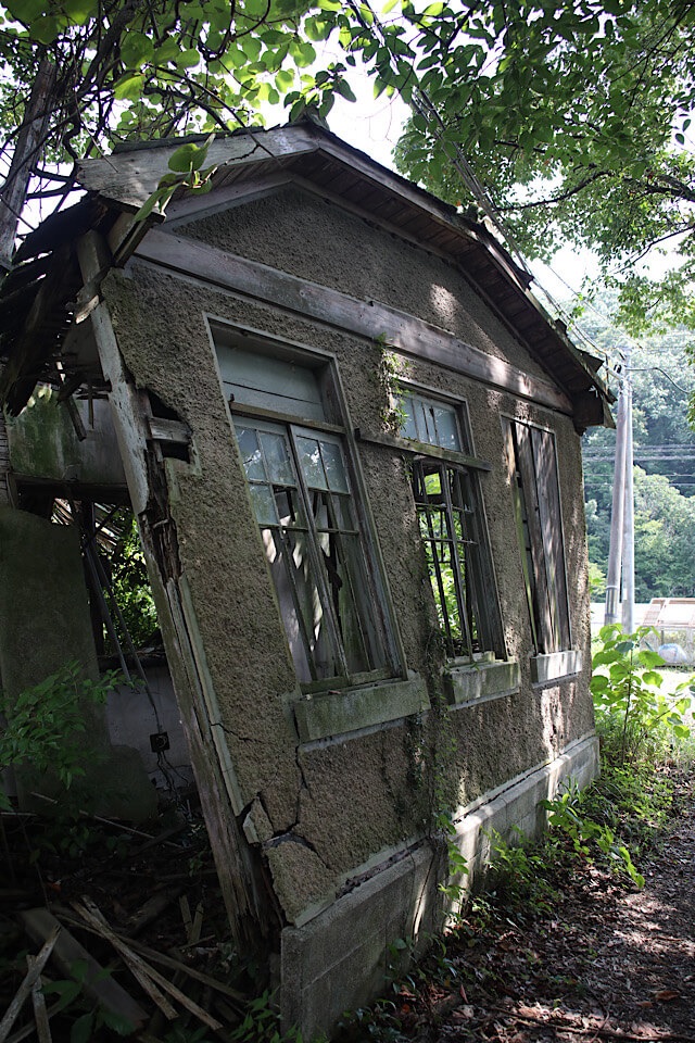 野生の草木に覆われ、完全に崩壊しつつある旧仁堀郵便局の外部。壁が大きく崩落し、苔むしたトタン屋根が傾き、崩れた木材や瓦が積み重なり、周囲を野生の草木が覆っている。ガラスが割れ、木枠だけが残る窓が見える。苔むしたコンクリート壁が深刻な老朽化を示す。