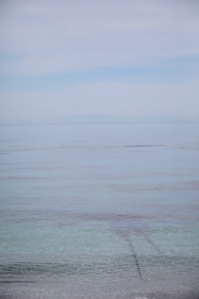 澄んだ青い海へと沈んでいく錆びた海中線路。まるで『千と千尋の神隠し』の海原電鉄のシーンのような風景。