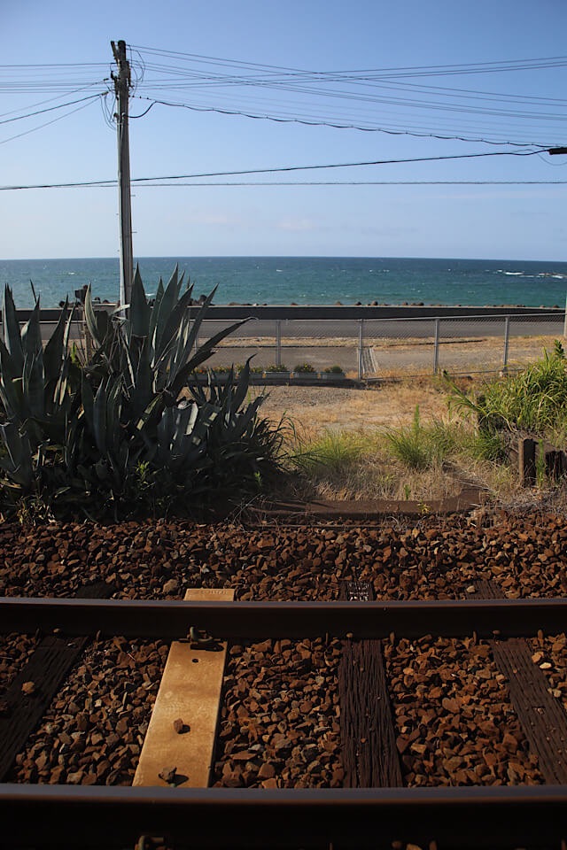 手前に錆びた線路とバラストがあり、その奥に生い茂る雑草の中に大きなアガベ(多肉植物)が立っている。さらにその向こうにはガードレールと国道が走り、広大で深い青色の日本海と水平線、澄んだ青空が広がっている。空には電柱と多数の電線が走っている。島根県・折居駅周辺の風景。