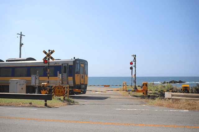 踏切が閉まり、警報灯が赤く点灯する中、日本海をバックに黄色と青の特急列車が疾走する瞬間。下がった遮断機と『踏切 とまれ』の黄色い標識が手前に見える。