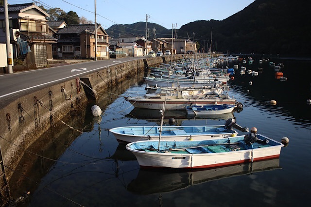 穏やかな九鬼湾の波止場に一列に並んで停泊する多くの漁船。水面に船影が写り込み、海岸沿いには山々と昔ながらの家並みが広がっている。