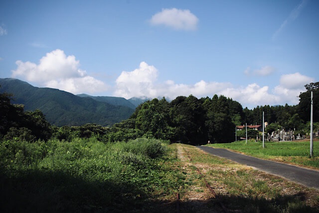 夏の青空と白い雲の下、草に覆われながらまっすぐに伸びる旧国鉄倉吉線の錆びたレール。背景には深い緑の山並みが広がり、レールのすぐ横を舗装された細い道路が並走しているのどかな風景。
