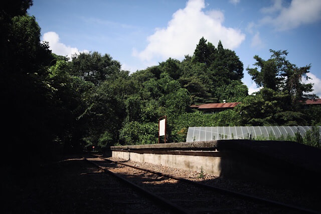鬱蒼とした夏の緑の森と青空を背景に、錆びたレールと並んで静かに佇むコンクリート製の旧泰久寺駅ホーム。ホーム上には白い看板（駅名標跡）が立ち、日陰の中で凛とした雰囲気を漂わせている。