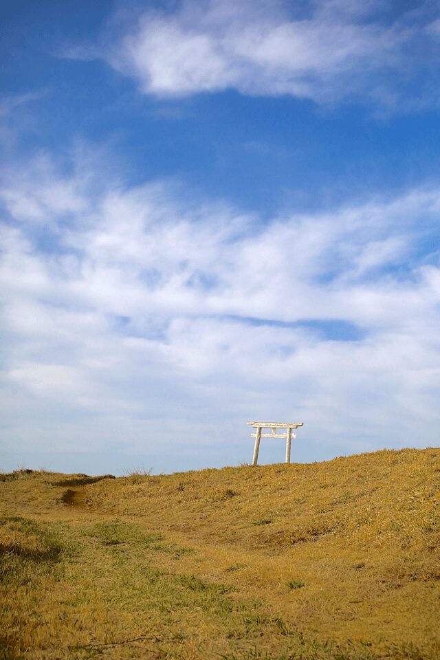 鮮やかな青空と流れるような白い雲の下、黄金色の草に覆われた観音平の丘にぽつんと立つ白い鳥居。