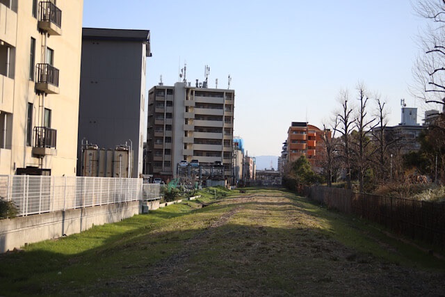 立ち並ぶマンションやビルの合間を斜めにズドーンと貫くように、細長く一面に草が生い茂って続いている阪和貨物線の廃線跡地
