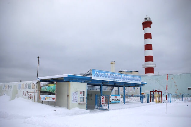 雪景色の中に佇むノシャップ寒流水族館の入口建物と、その背後にそびえ立つ赤と白の縞模様の灯台。